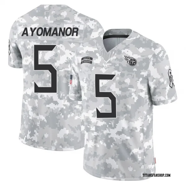 Men's Elic Ayomanor Tennessee Titans Limited Arctic Camo 2024 Salute to Service Jersey