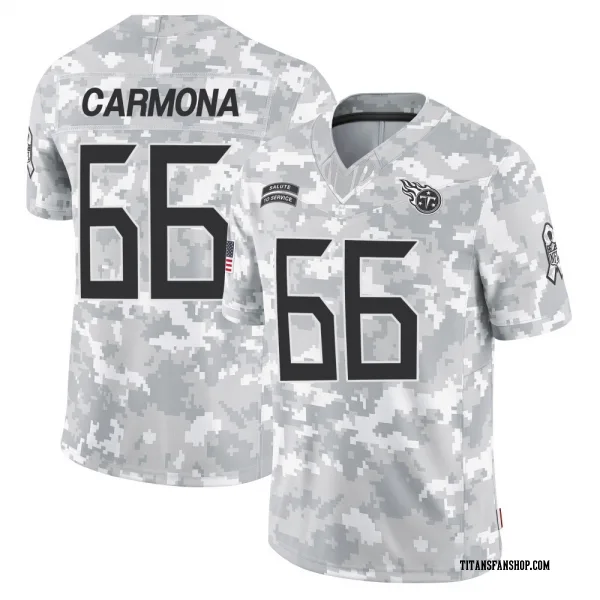 Men's Fernando Carmona Tennessee Titans Limited Arctic Camo 2024 Salute to Service Jersey