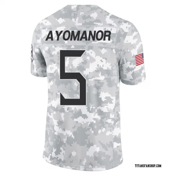 Youth Elic Ayomanor Tennessee Titans Limited Arctic Camo 2024 Salute to Service Jersey