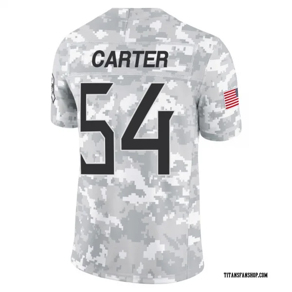 Youth Lorenzo Carter Tennessee Titans Limited Arctic Camo 2024 Salute to Service Jersey